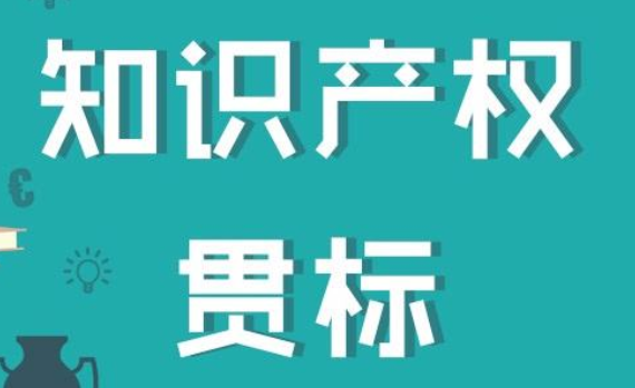青島市知識產權貫標補貼多少？知識產權貫標申報優勢